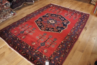 Oriental Afshah rug